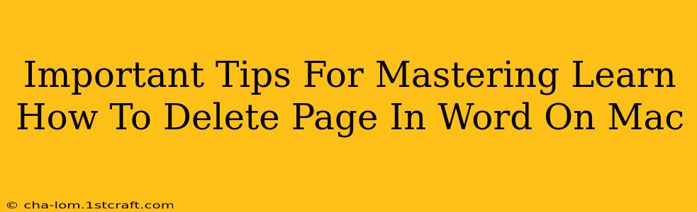 Important Tips For Mastering Learn How To Delete Page In Word On Mac