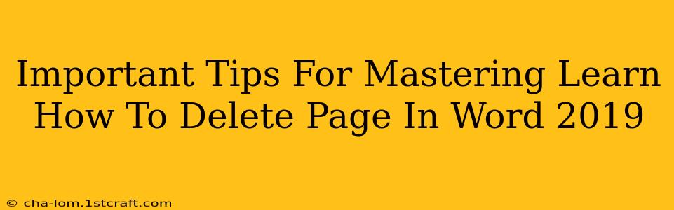 Important Tips For Mastering Learn How To Delete Page In Word 2019