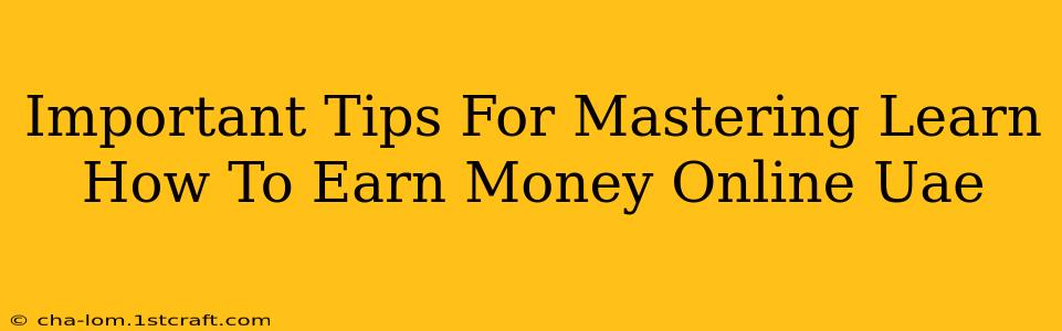 Important Tips For Mastering Learn How To Earn Money Online Uae