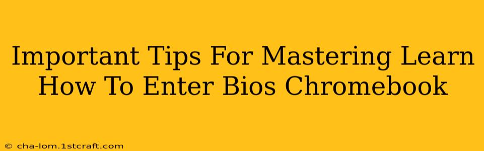 Important Tips For Mastering Learn How To Enter Bios Chromebook