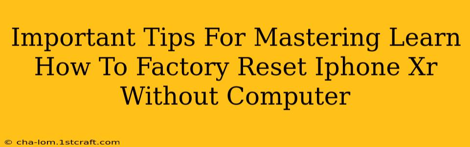 Important Tips For Mastering Learn How To Factory Reset Iphone Xr Without Computer