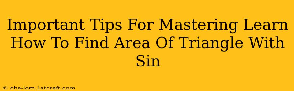 Important Tips For Mastering Learn How To Find Area Of Triangle With Sin