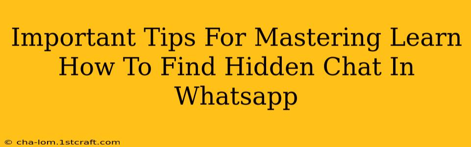 Important Tips For Mastering Learn How To Find Hidden Chat In Whatsapp