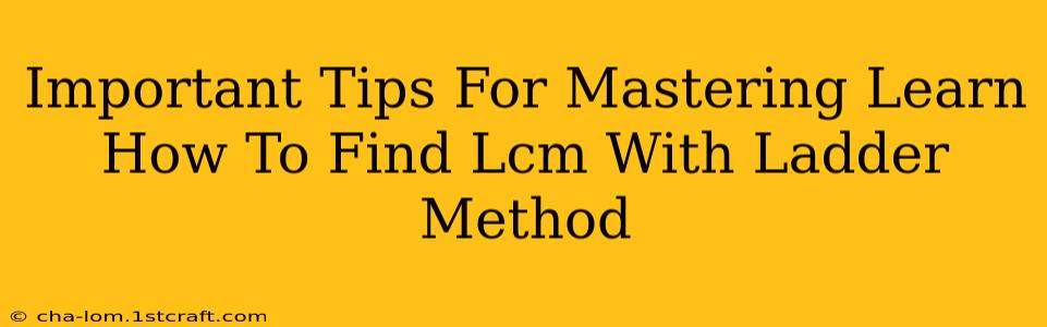 Important Tips For Mastering Learn How To Find Lcm With Ladder Method