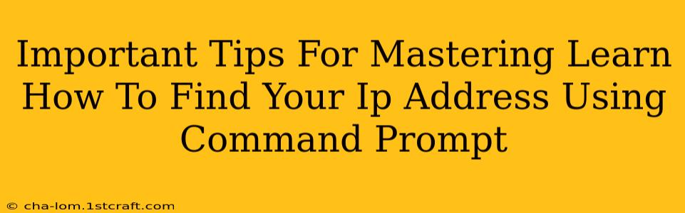 Important Tips For Mastering Learn How To Find Your Ip Address Using Command Prompt