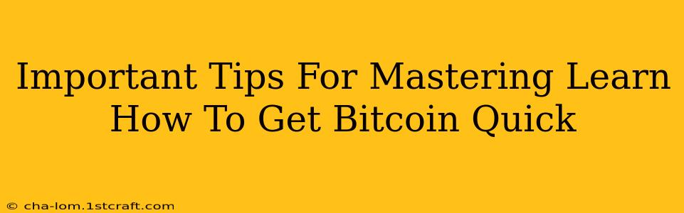 Important Tips For Mastering Learn How To Get Bitcoin Quick