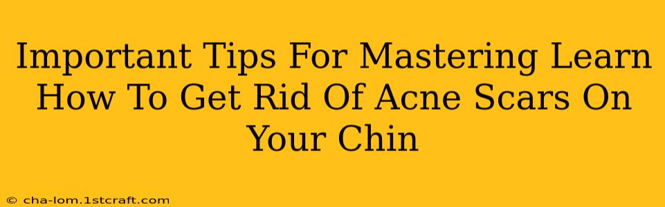 Important Tips For Mastering Learn How To Get Rid Of Acne Scars On Your Chin