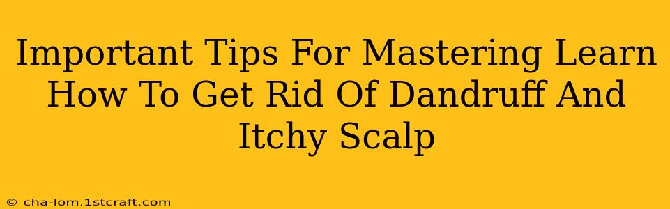 Important Tips For Mastering Learn How To Get Rid Of Dandruff And Itchy Scalp