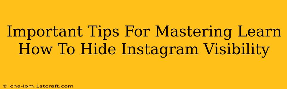 Important Tips For Mastering Learn How To Hide Instagram Visibility