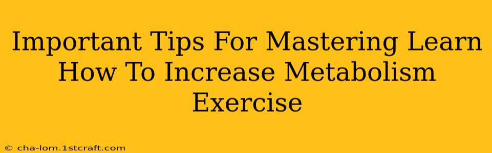 Important Tips For Mastering Learn How To Increase Metabolism Exercise