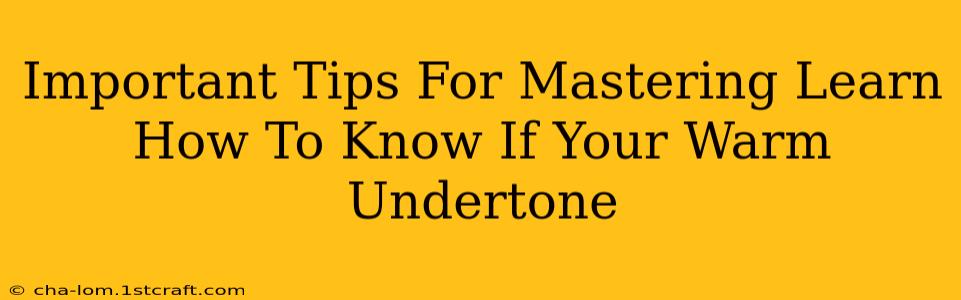 Important Tips For Mastering Learn How To Know If Your Warm Undertone