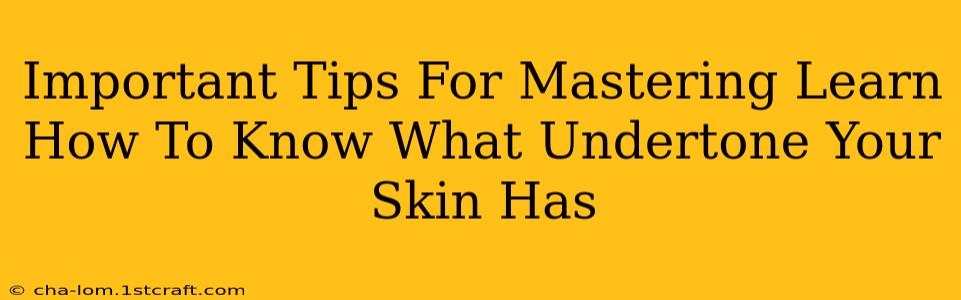 Important Tips For Mastering Learn How To Know What Undertone Your Skin Has