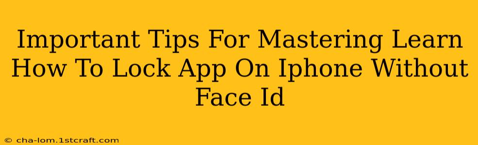 Important Tips For Mastering Learn How To Lock App On Iphone Without Face Id