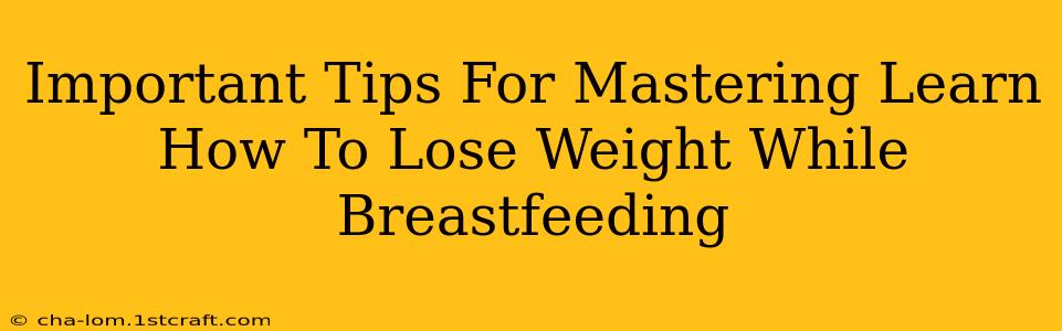 Important Tips For Mastering Learn How To Lose Weight While Breastfeeding