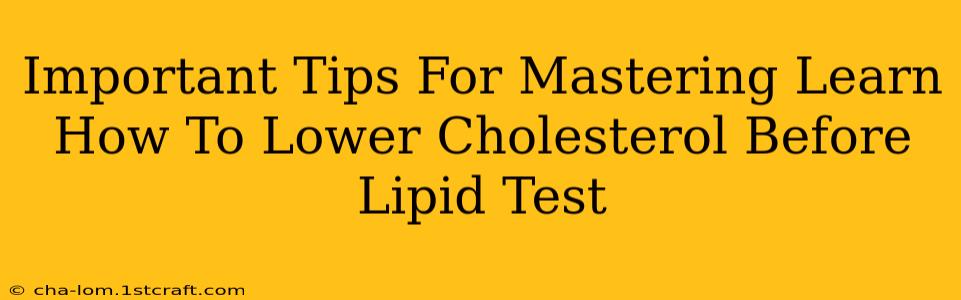 Important Tips For Mastering Learn How To Lower Cholesterol Before Lipid Test