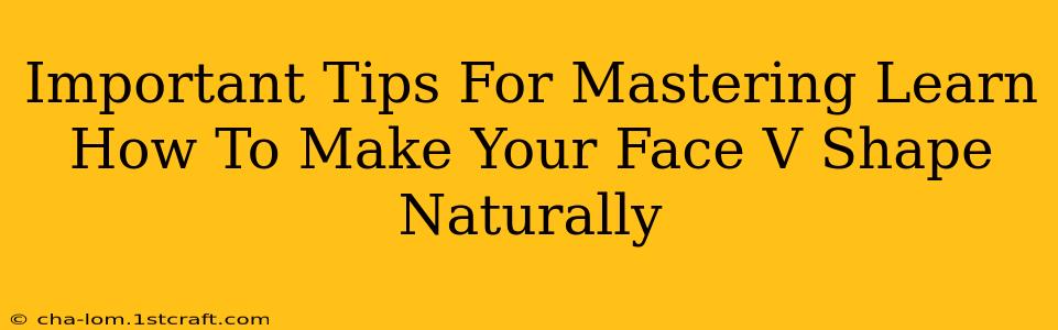 Important Tips For Mastering Learn How To Make Your Face V Shape Naturally