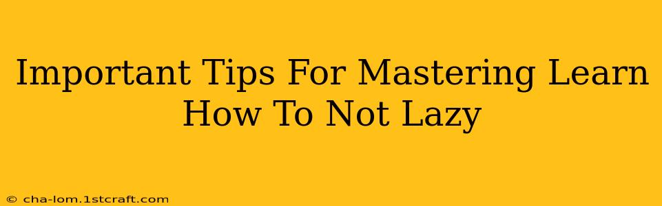 Important Tips For Mastering Learn How To Not Lazy