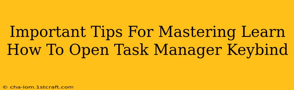 Important Tips For Mastering Learn How To Open Task Manager Keybind