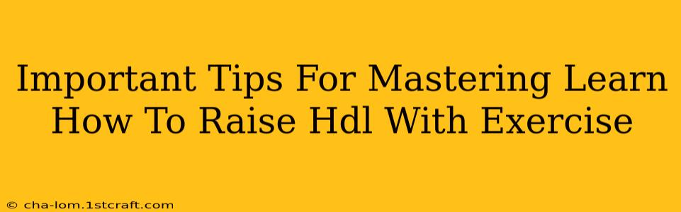 Important Tips For Mastering Learn How To Raise Hdl With Exercise