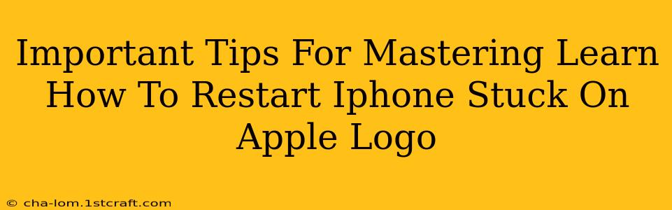 Important Tips For Mastering Learn How To Restart Iphone Stuck On Apple Logo