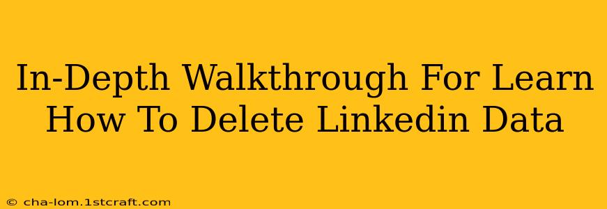 In-Depth Walkthrough For Learn How To Delete Linkedin Data