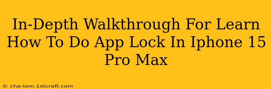 In-Depth Walkthrough For Learn How To Do App Lock In Iphone 15 Pro Max