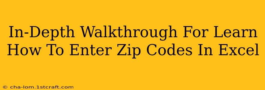 In-Depth Walkthrough For Learn How To Enter Zip Codes In Excel