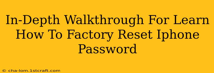 In-Depth Walkthrough For Learn How To Factory Reset Iphone Password