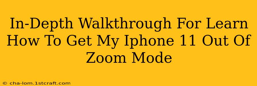 In-Depth Walkthrough For Learn How To Get My Iphone 11 Out Of Zoom Mode