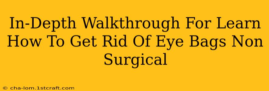 In-Depth Walkthrough For Learn How To Get Rid Of Eye Bags Non Surgical