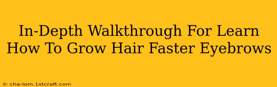 In-Depth Walkthrough For Learn How To Grow Hair Faster Eyebrows