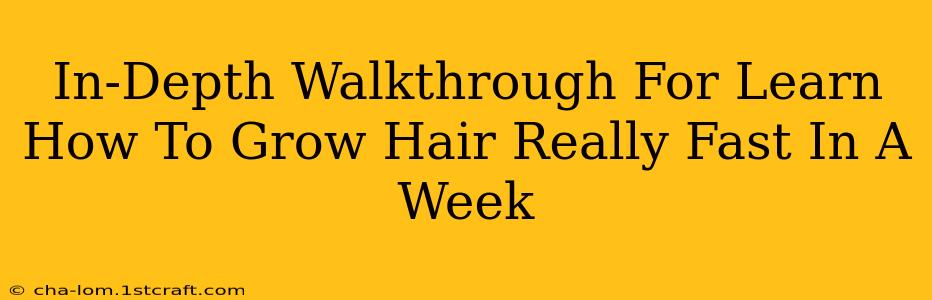 In-Depth Walkthrough For Learn How To Grow Hair Really Fast In A Week