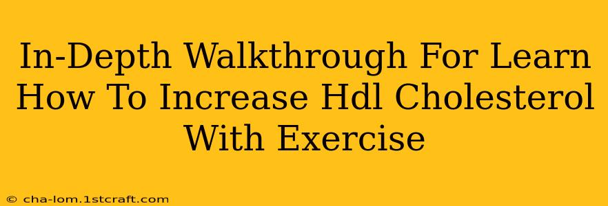 In-Depth Walkthrough For Learn How To Increase Hdl Cholesterol With Exercise