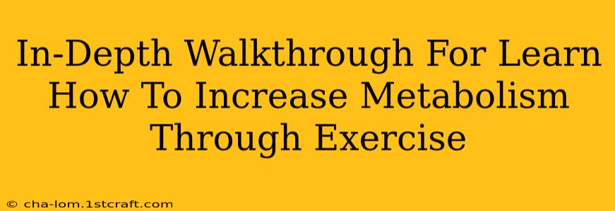 In-Depth Walkthrough For Learn How To Increase Metabolism Through Exercise