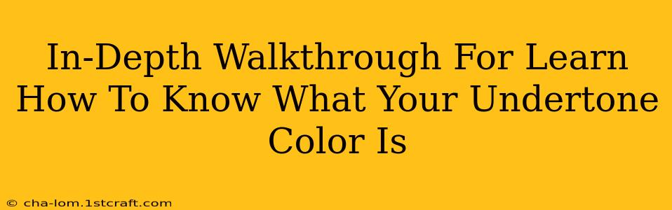 In-Depth Walkthrough For Learn How To Know What Your Undertone Color Is