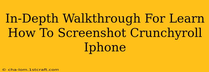 In-Depth Walkthrough For Learn How To Screenshot Crunchyroll Iphone