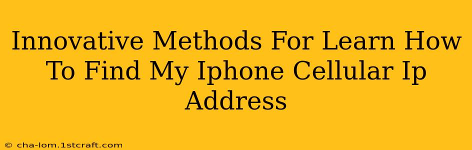 Innovative Methods For Learn How To Find My Iphone Cellular Ip Address