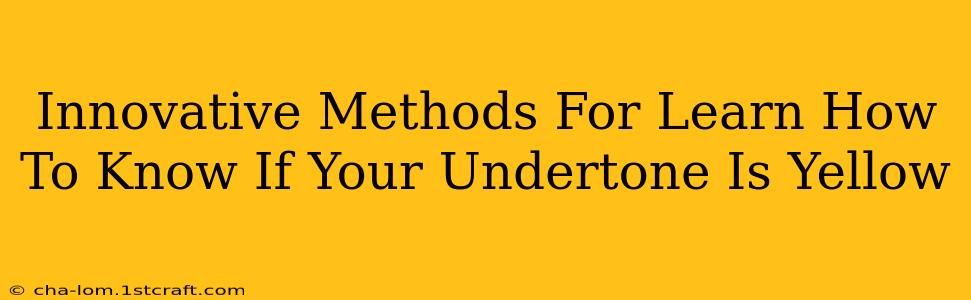 Innovative Methods For Learn How To Know If Your Undertone Is Yellow