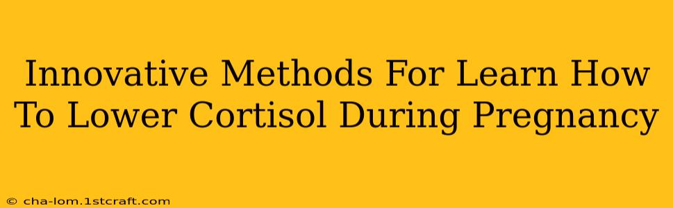 Innovative Methods For Learn How To Lower Cortisol During Pregnancy