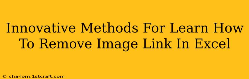 Innovative Methods For Learn How To Remove Image Link In Excel