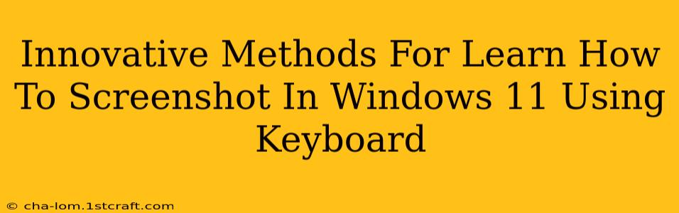 Innovative Methods For Learn How To Screenshot In Windows 11 Using Keyboard