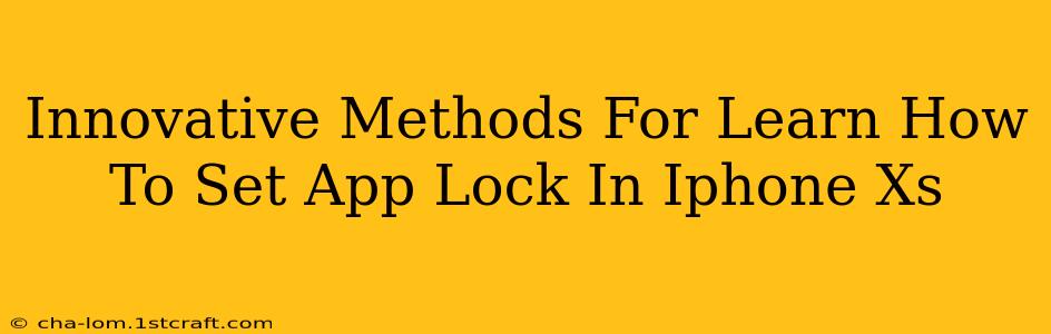 Innovative Methods For Learn How To Set App Lock In Iphone Xs