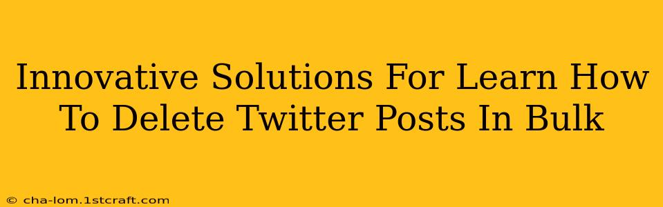 Innovative Solutions For Learn How To Delete Twitter Posts In Bulk