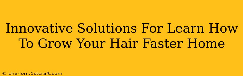 Innovative Solutions For Learn How To Grow Your Hair Faster Home