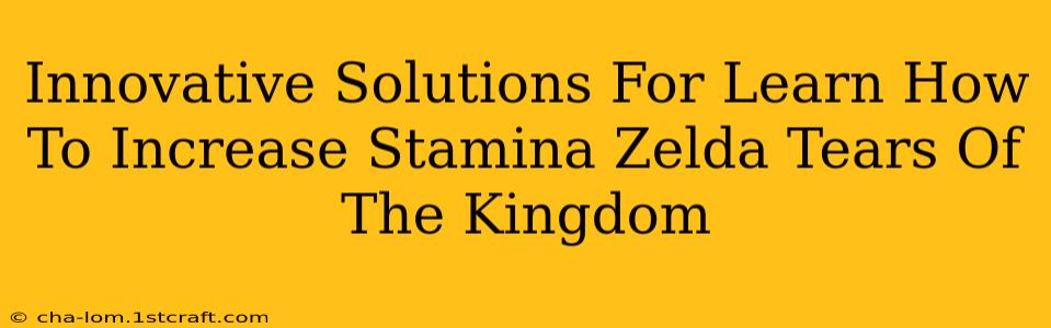 Innovative Solutions For Learn How To Increase Stamina Zelda Tears Of The Kingdom