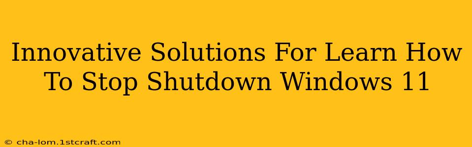 Innovative Solutions For Learn How To Stop Shutdown Windows 11