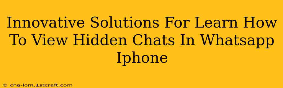 Innovative Solutions For Learn How To View Hidden Chats In Whatsapp Iphone