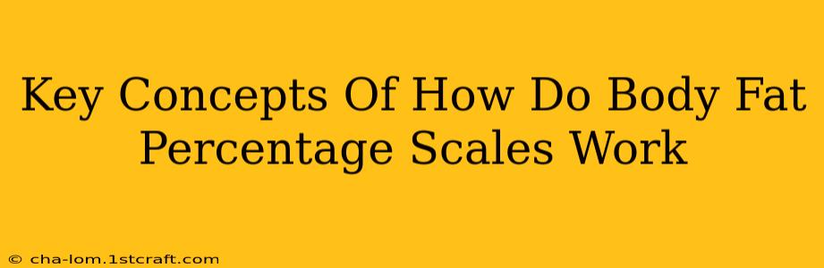 Key Concepts Of How Do Body Fat Percentage Scales Work