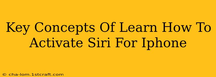 Key Concepts Of Learn How To Activate Siri For Iphone