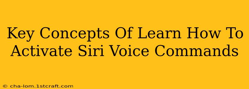 Key Concepts Of Learn How To Activate Siri Voice Commands